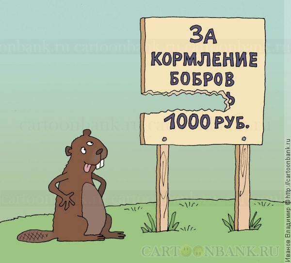 http://cartoonbank.ru/wp-content/plugins/wp-shopping-cart/product_images/4dfc2e90ea65b6.43619235bobrov_kormit.jpg